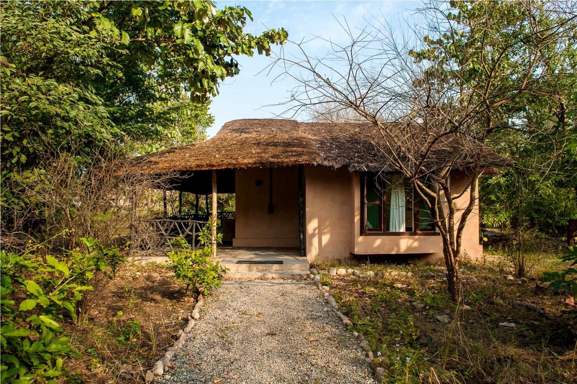 Jim's Jungle Retreat