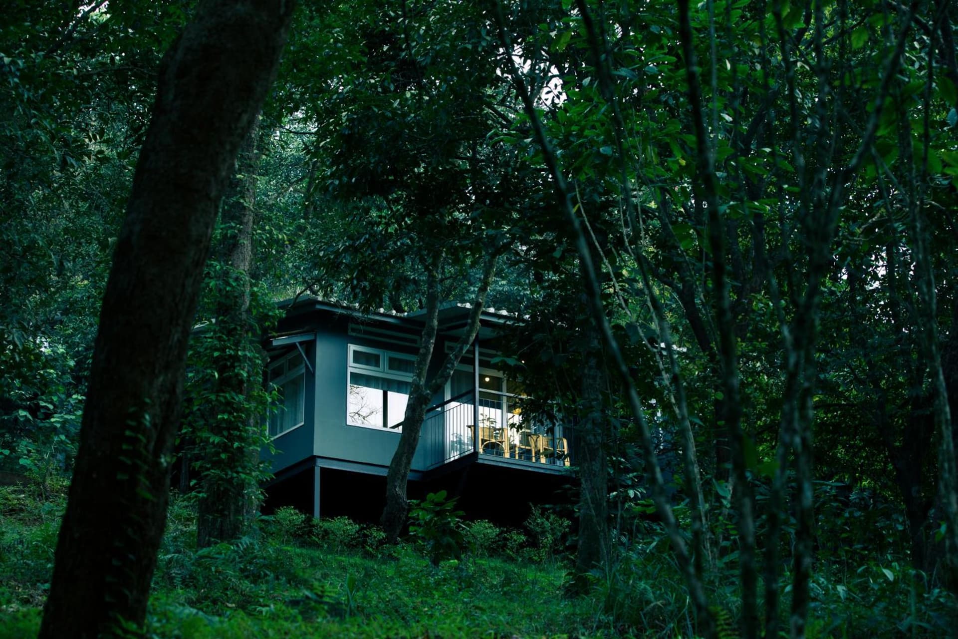 Wayanad Wild - A CGH Earth Experience