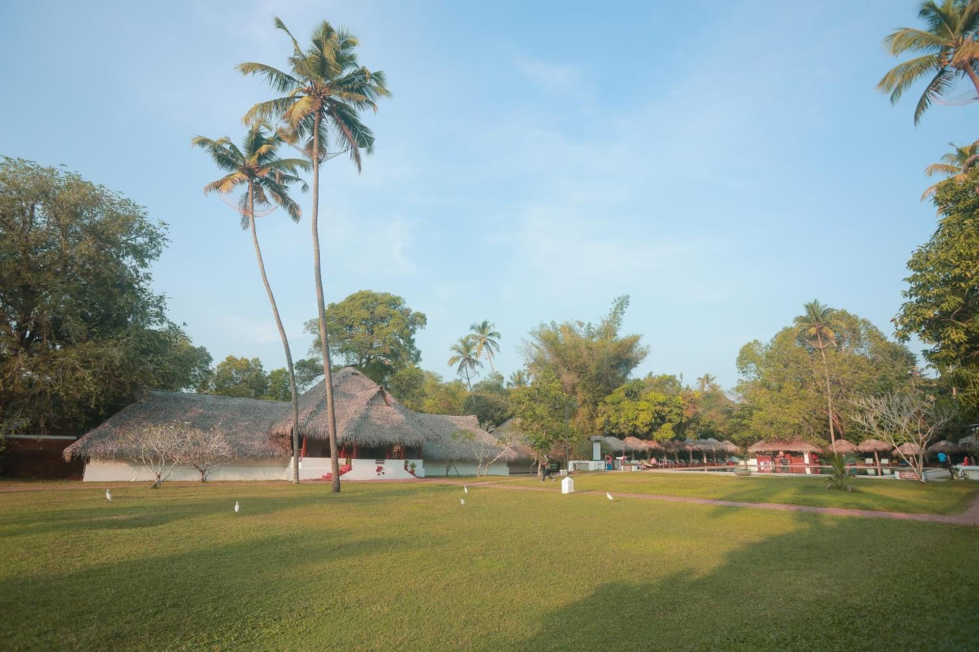 Marari Beach Resort Alleppey - A CGH Earth Experience