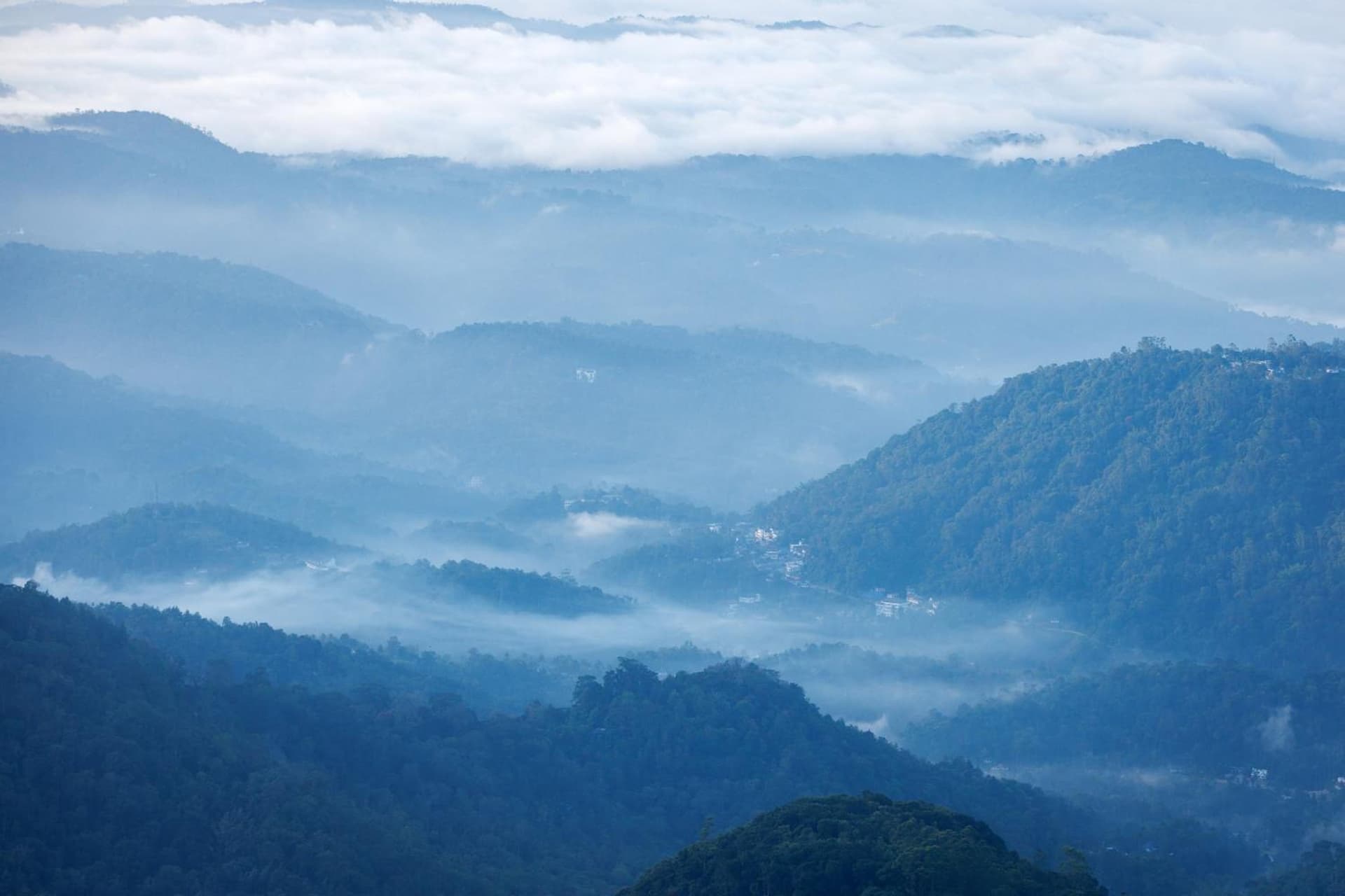 Amber Dale Luxury Hotel & Spa, Munnar