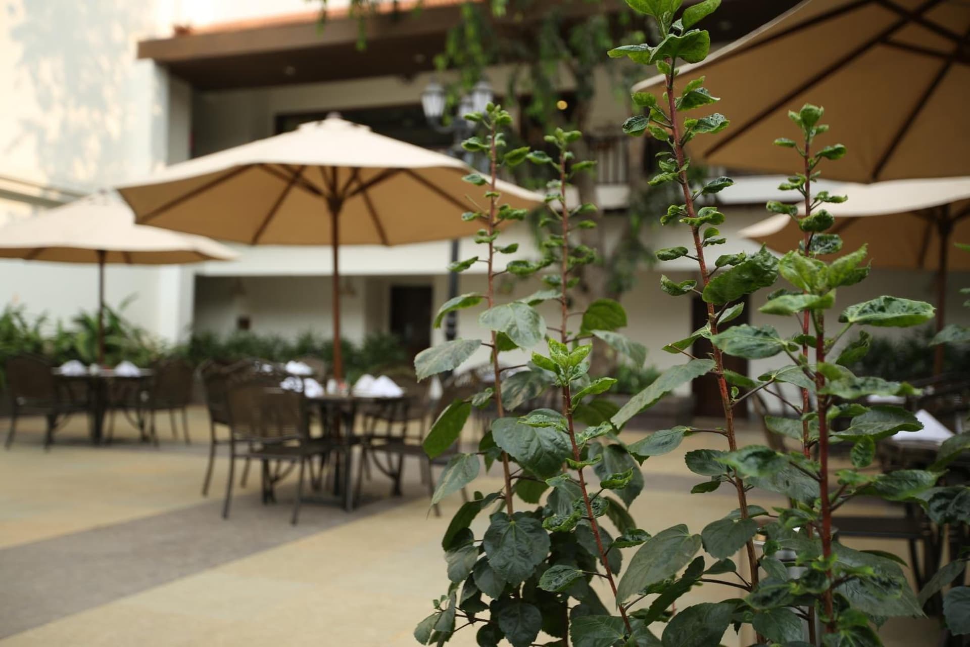 Rhythm Lonavala - An All Suite Resort