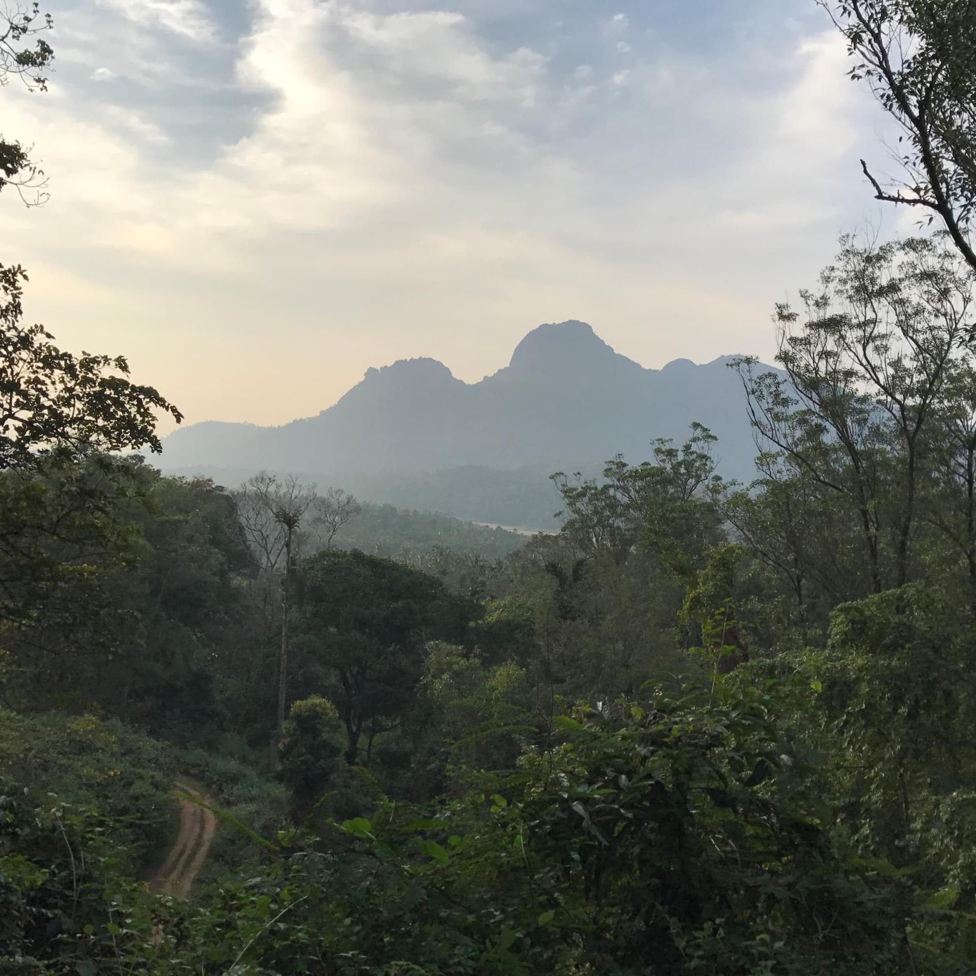 Pepper Trail