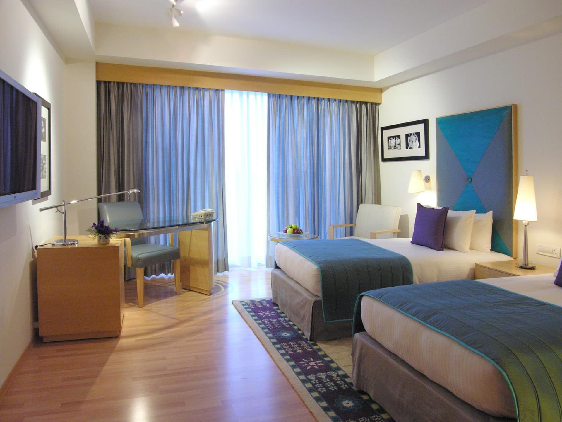 Deluxe Twin Garden View Room