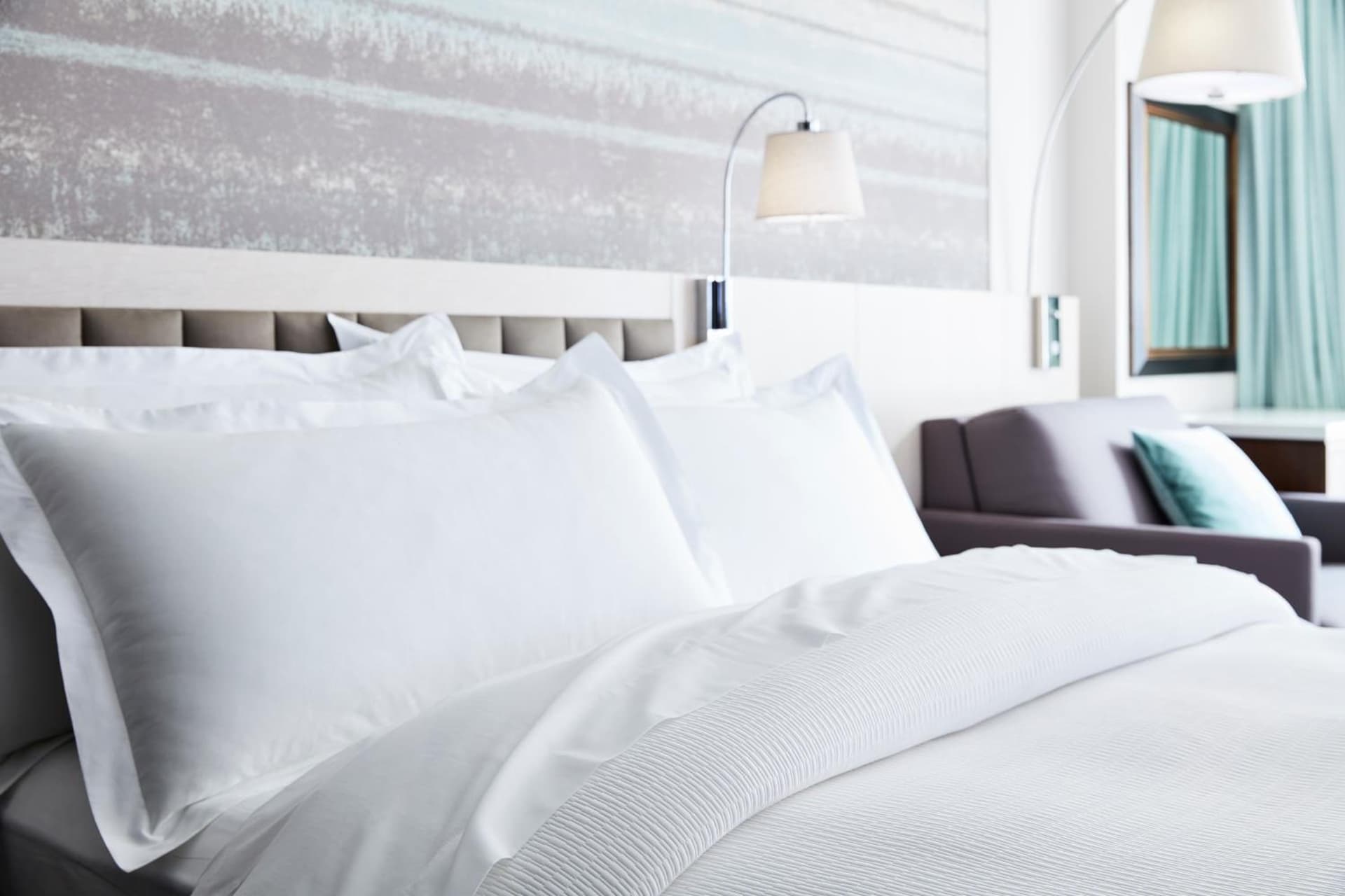 Premier Queen Accessible Room