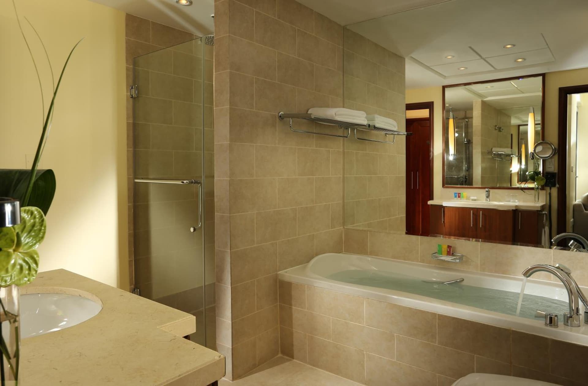 One Bedroom Premium Twin Downtown View