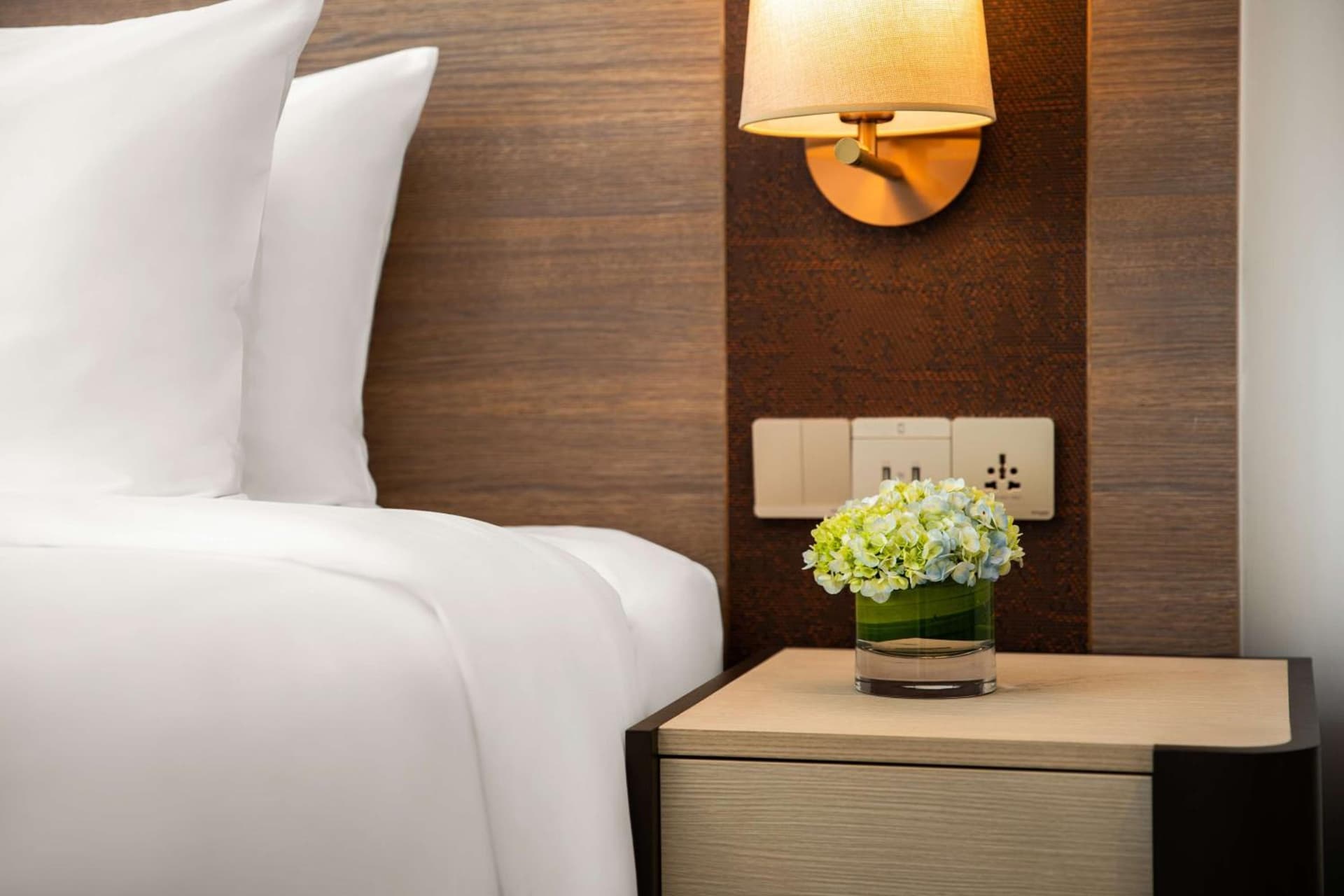 Suite Queen Room