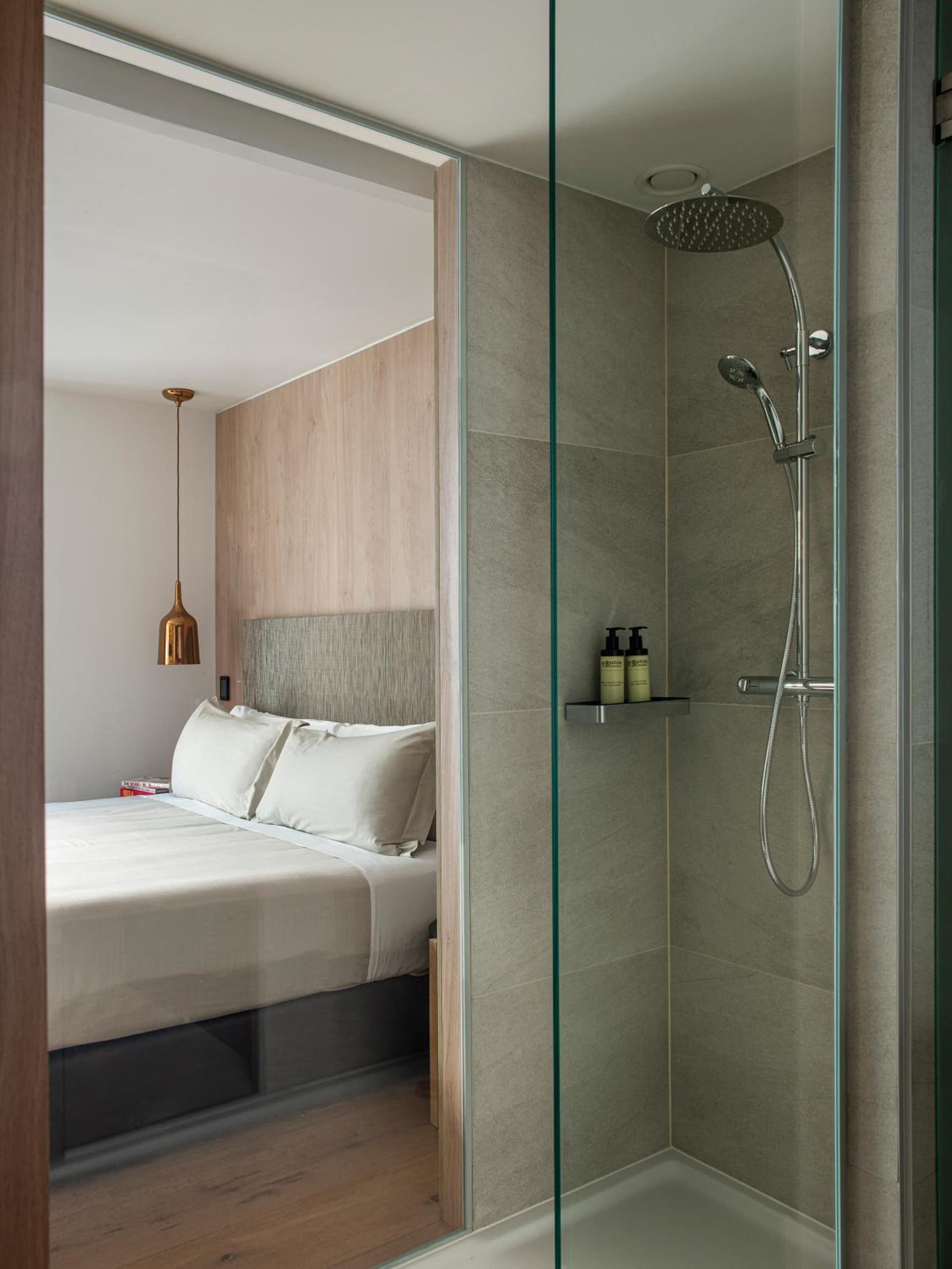 Standard King Or Twin City View Room