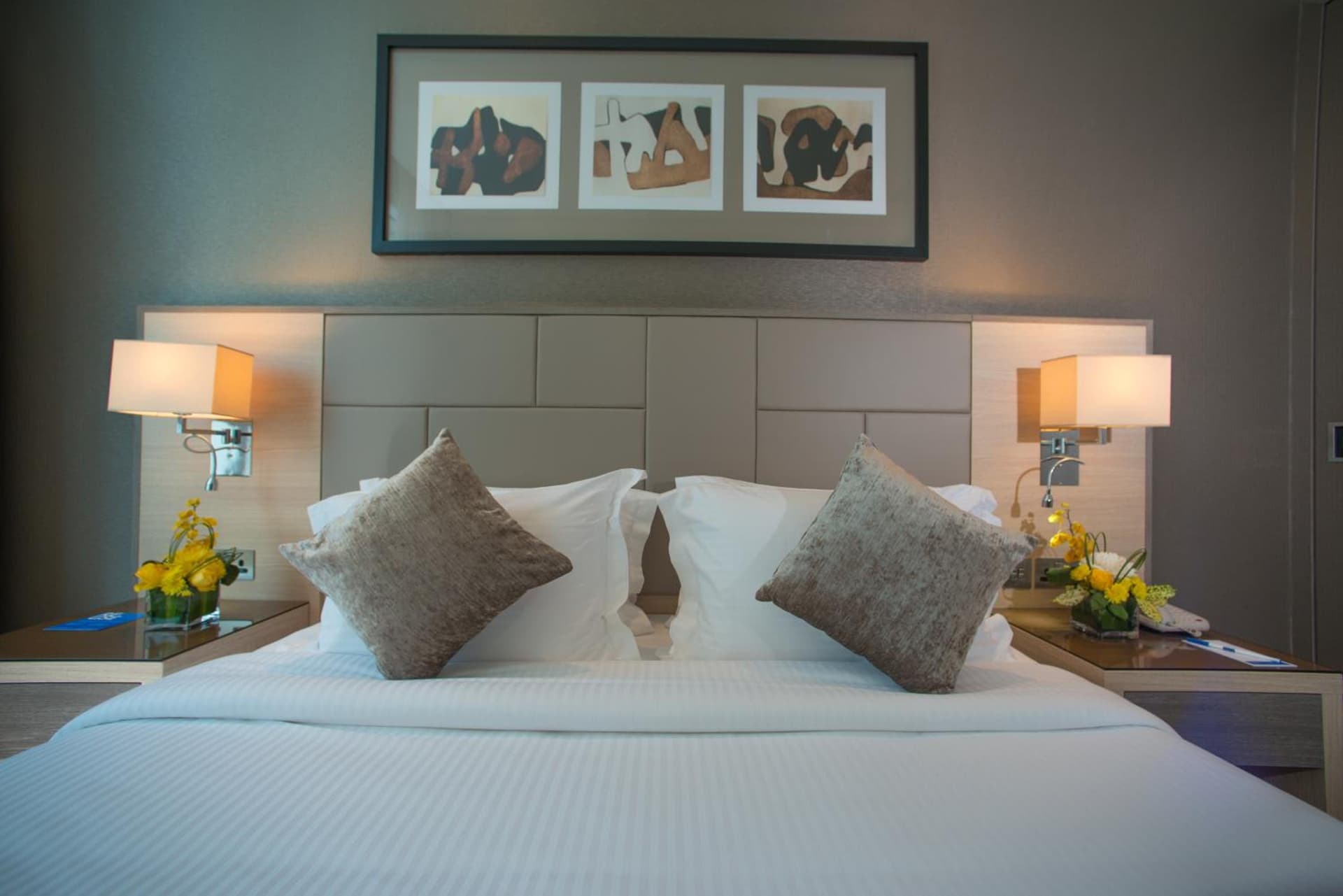 Classic King City View Room