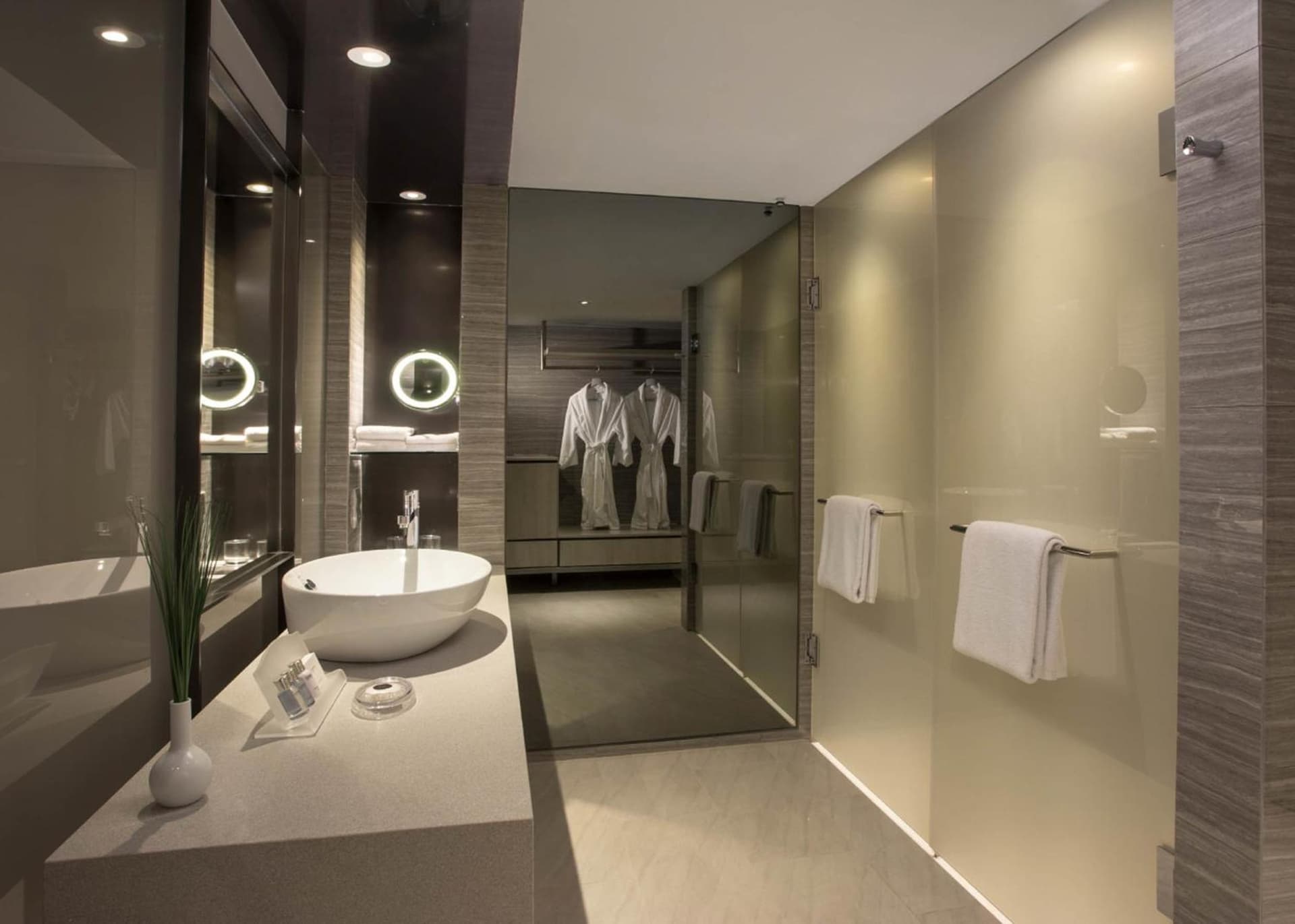 Deluxe King Or Twin Room