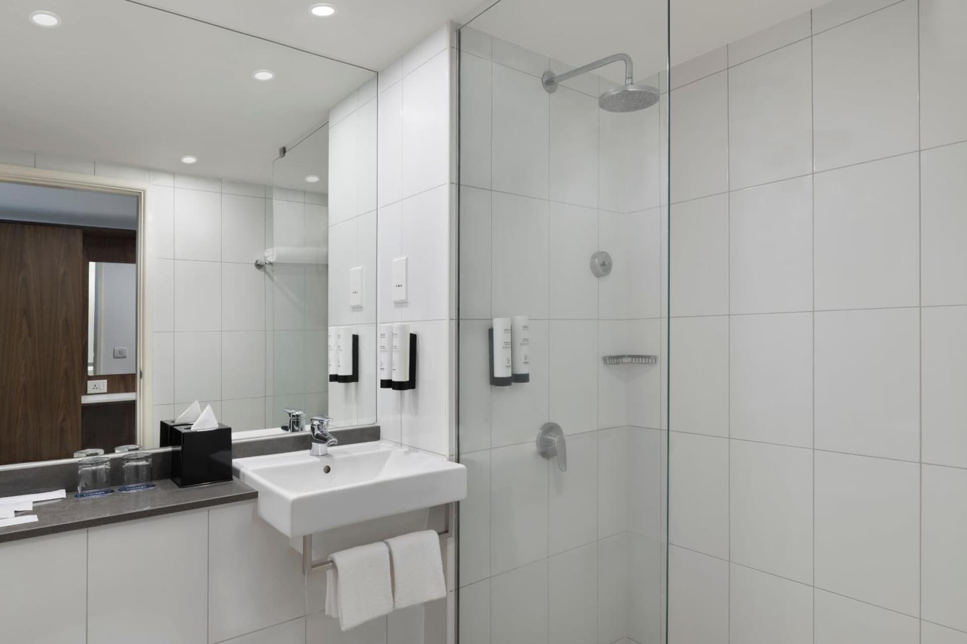 Deluxe Twin City View Room