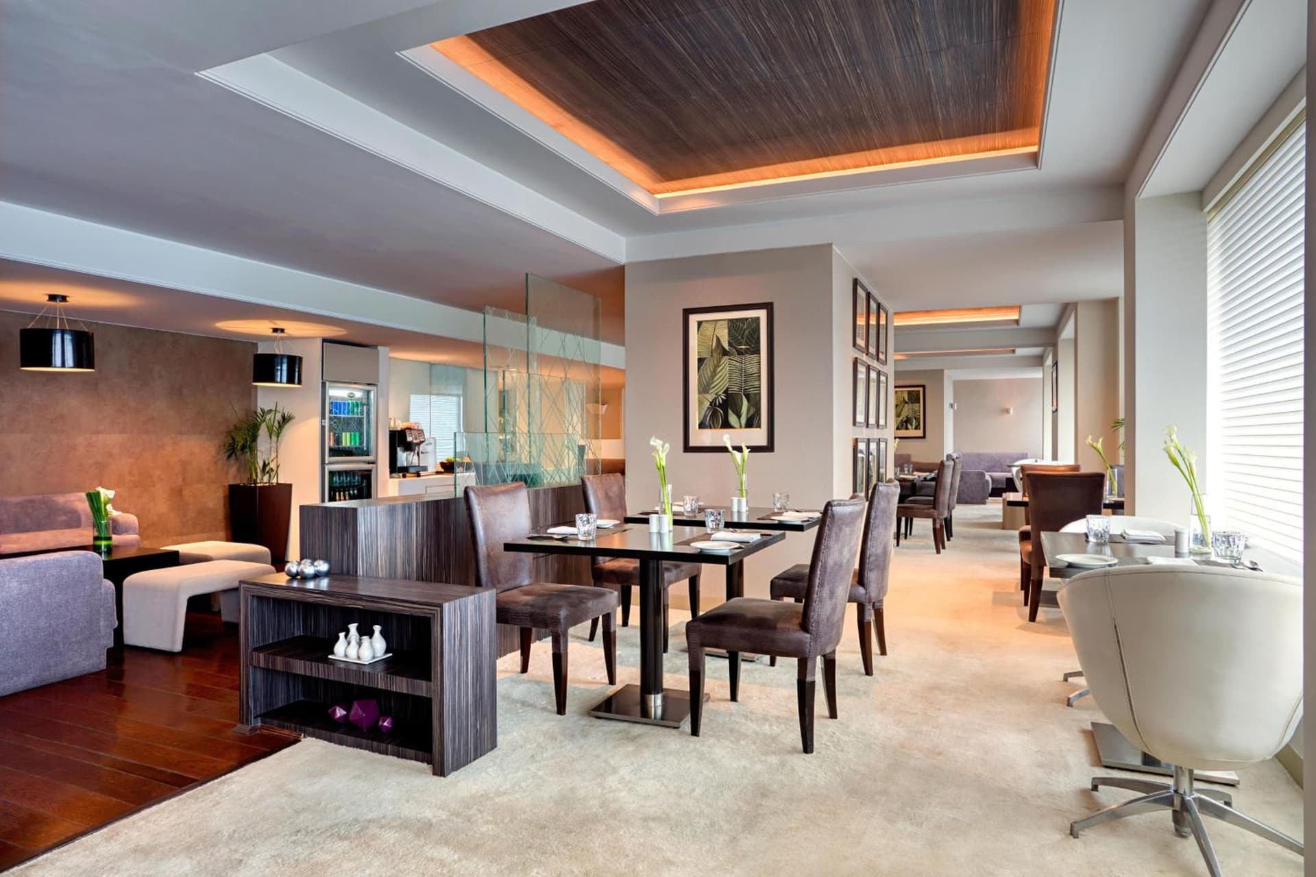 Suite King Room