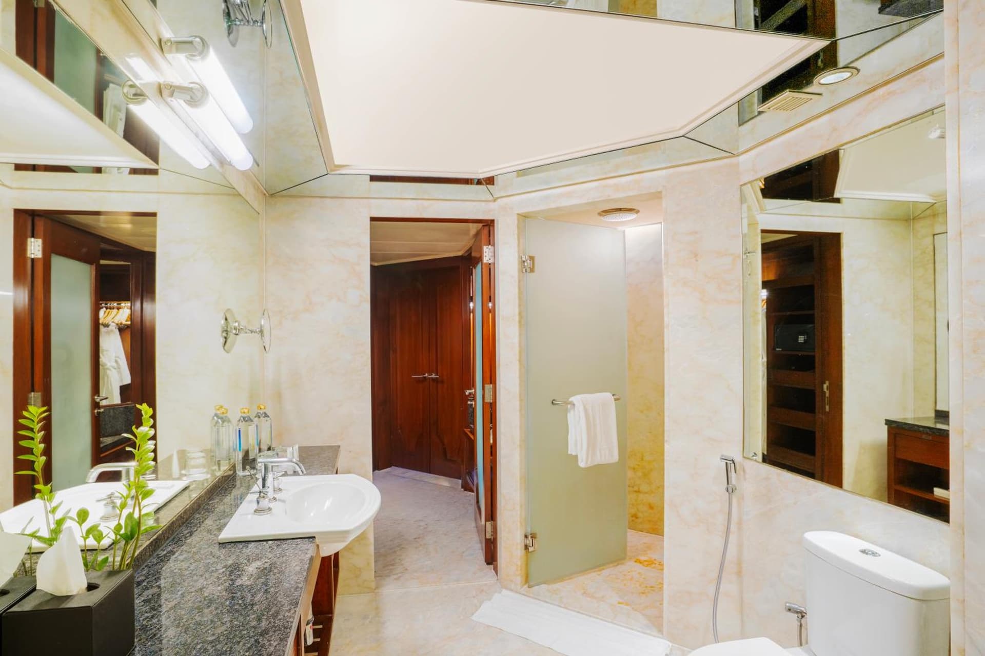 Executive King Lake View Room