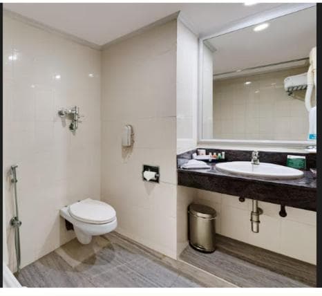 Deluxe King Or Twin Room