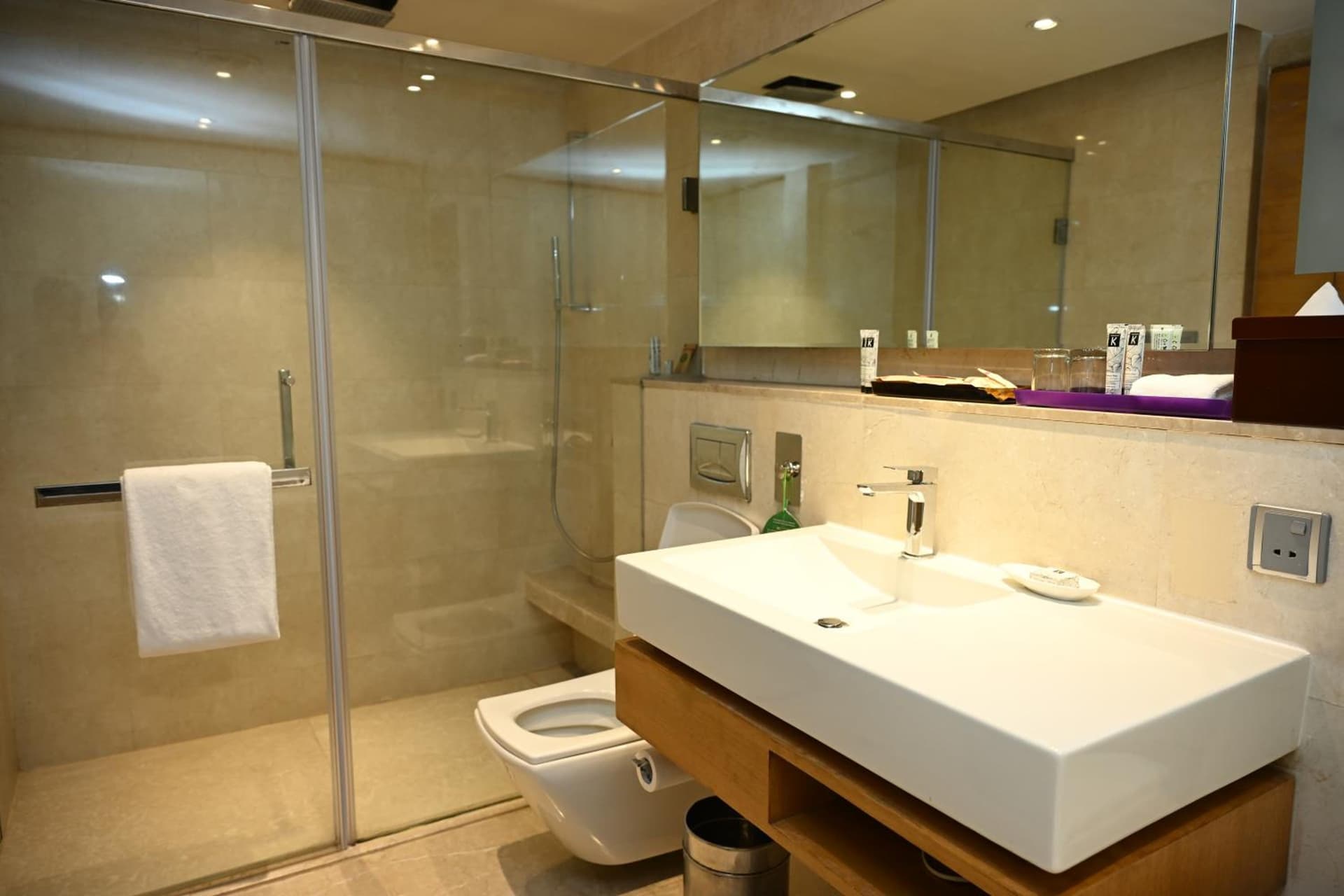 Premier Twin Room
