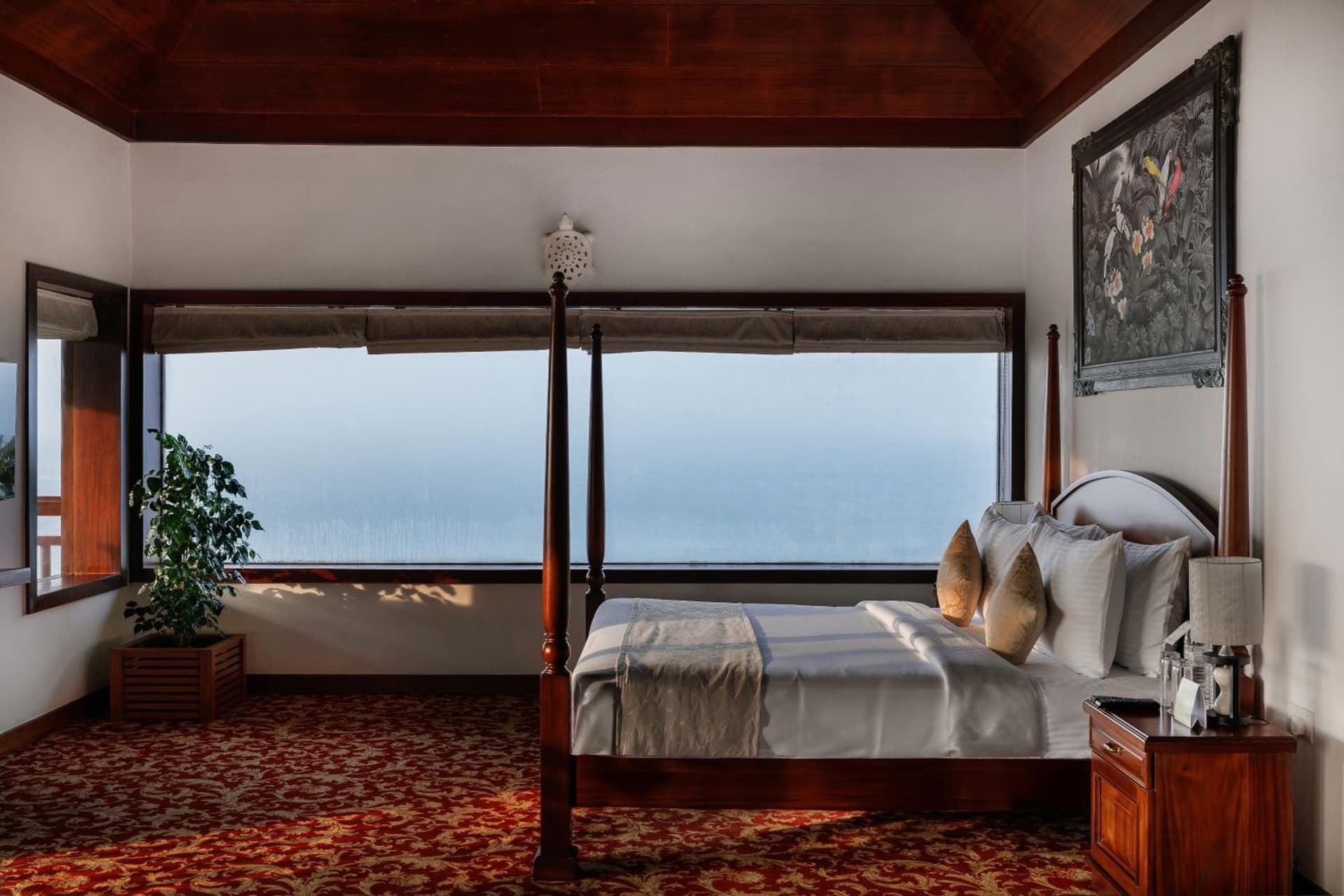 Turtle Signature Suite