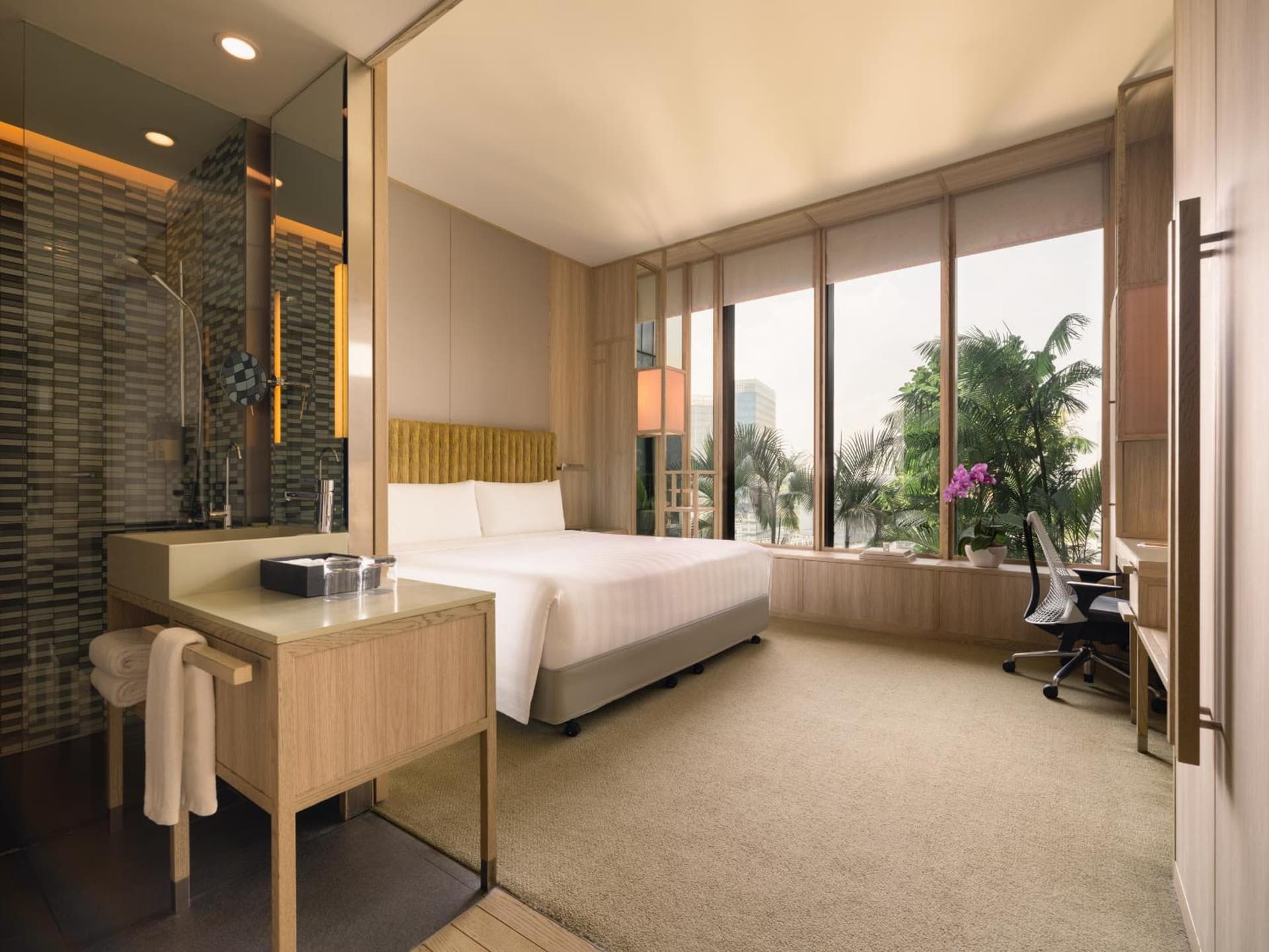 Deluxe King Or Twin Room