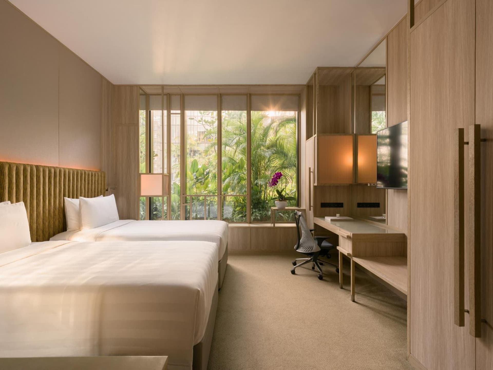 Deluxe King Or Twin Room
