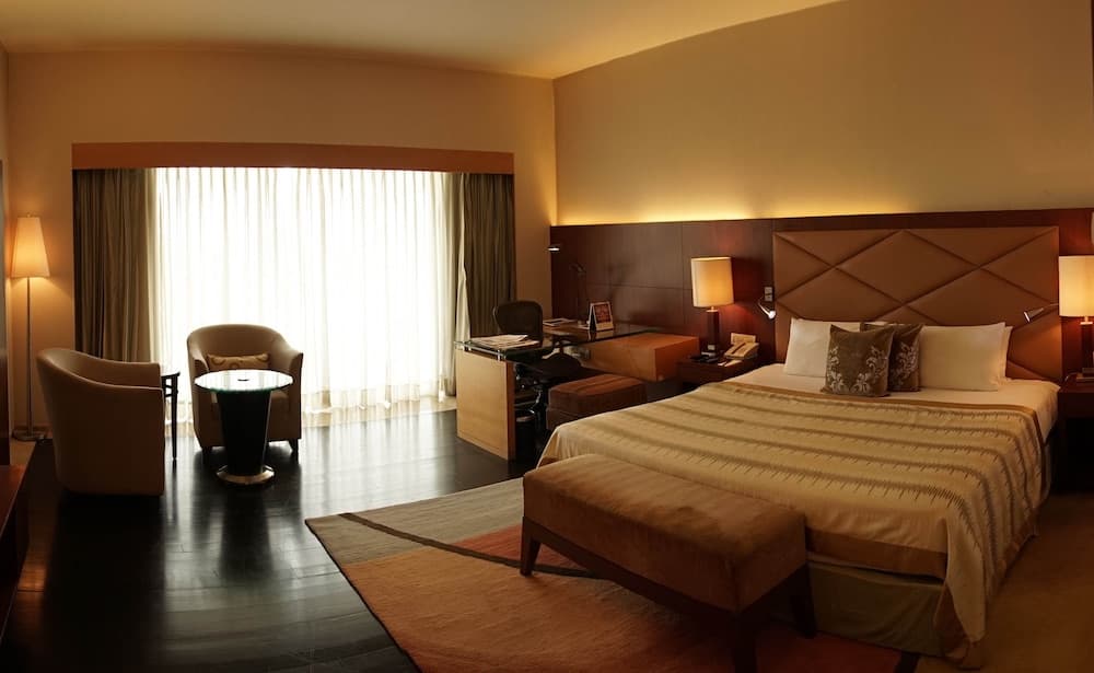 Suite Queen Room