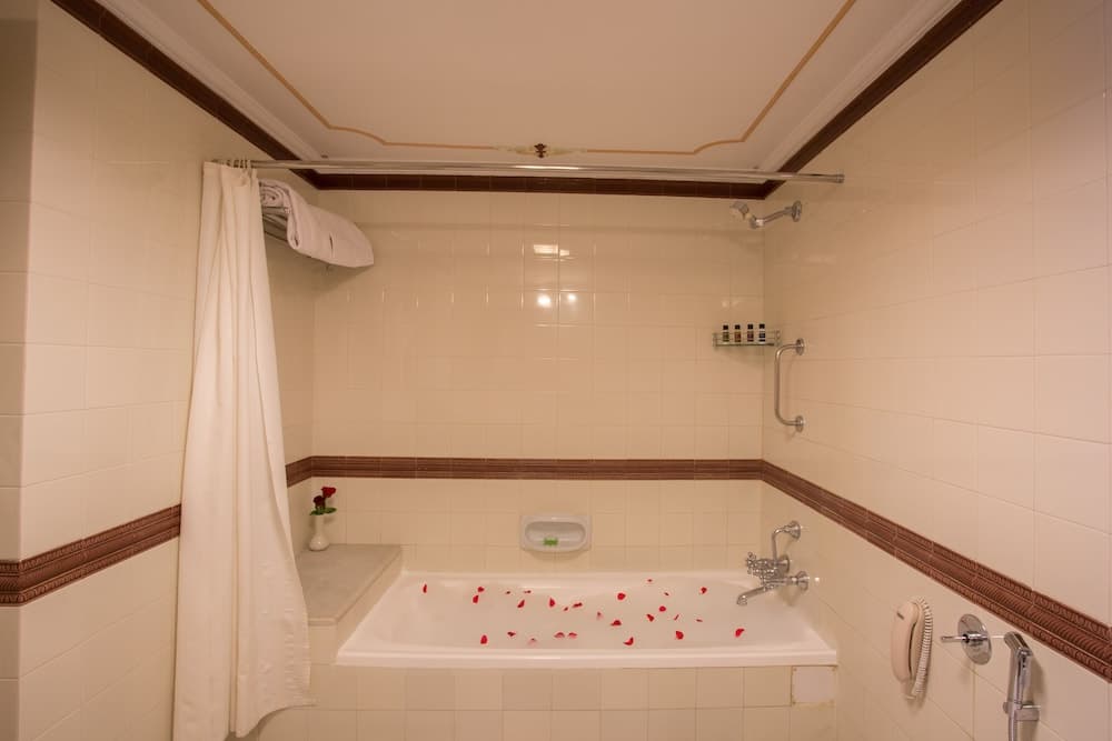 Palace Twin Room