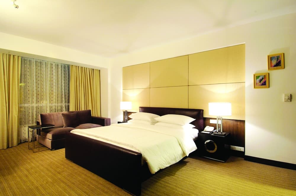 Standard King City View Room