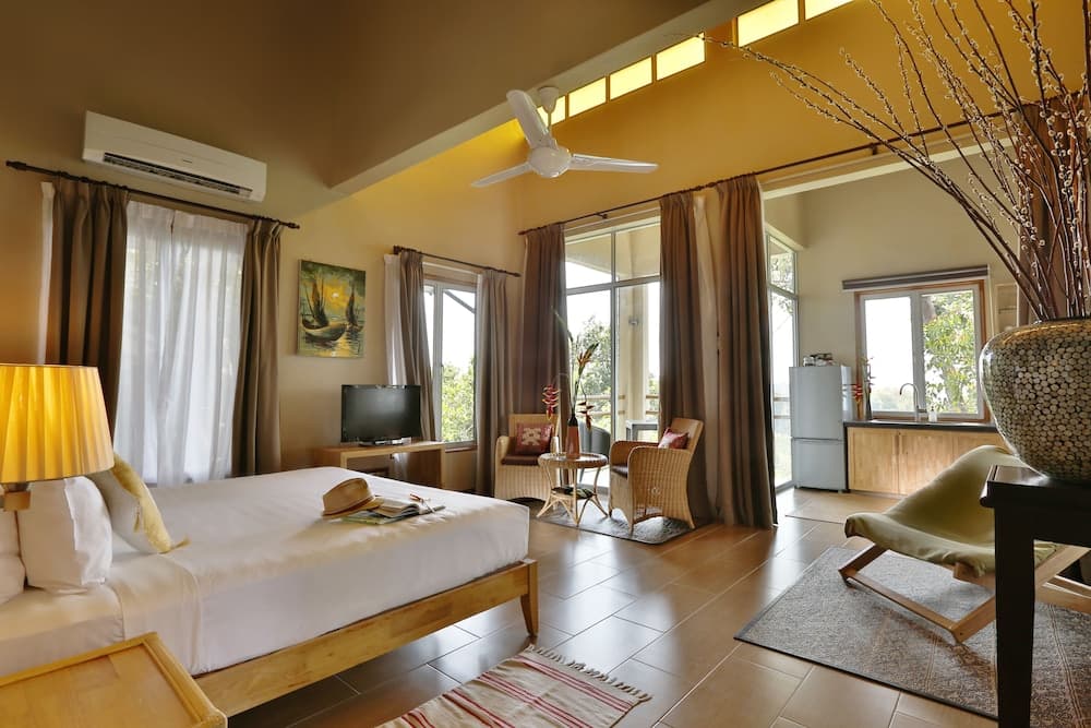 Canopy Studio (Guests aged 13+ only)