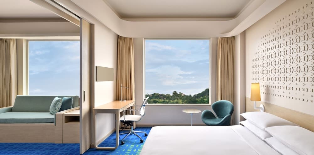 Suite Queen City View Room