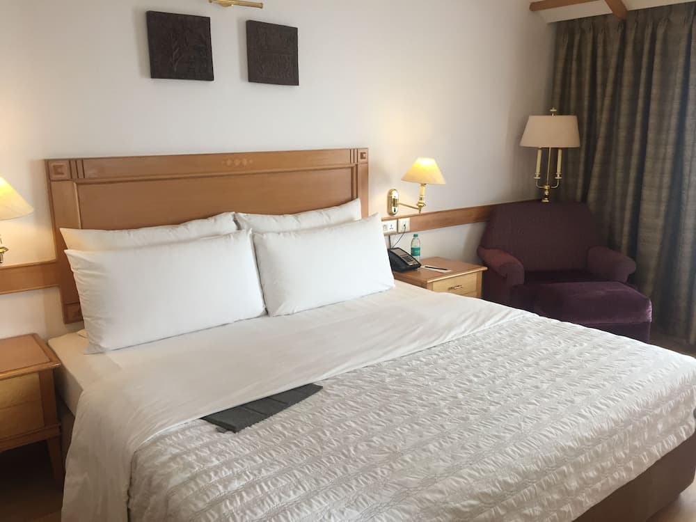 Club Room, 1 King Bed, City View