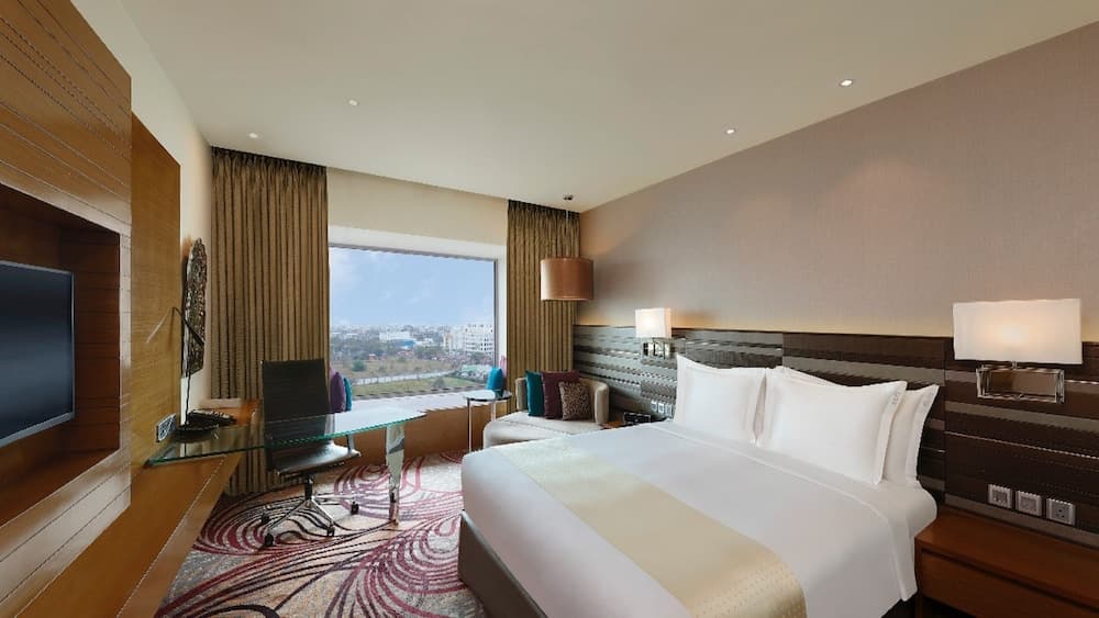 Standard King City View Room