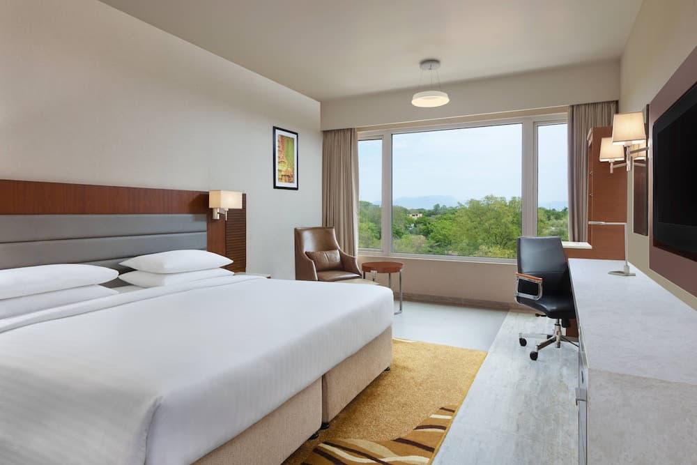 Room, 1 King Bed