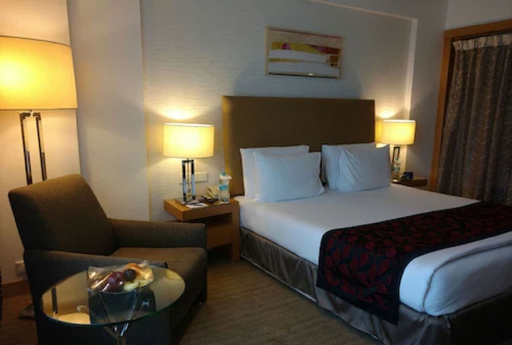 Standard King City View Room