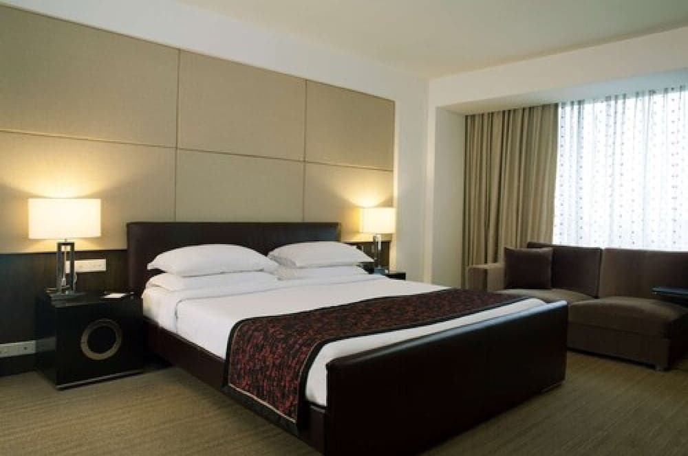 Standard King City View Room