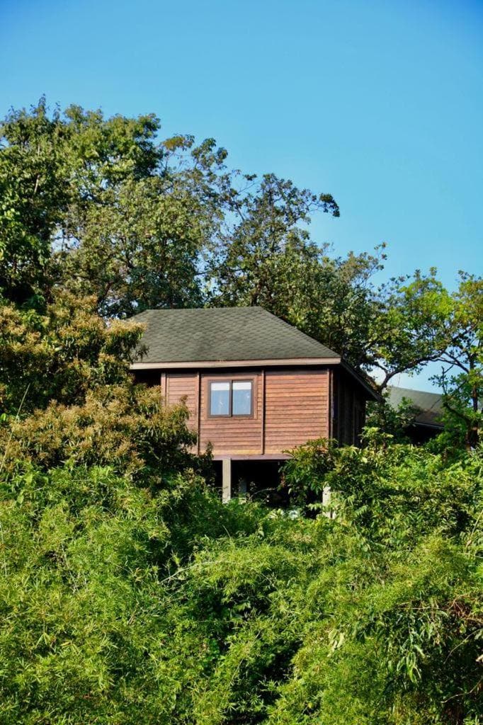 The Postcard Hideaway, Netravali Wildlife Sanctuary, South Goa