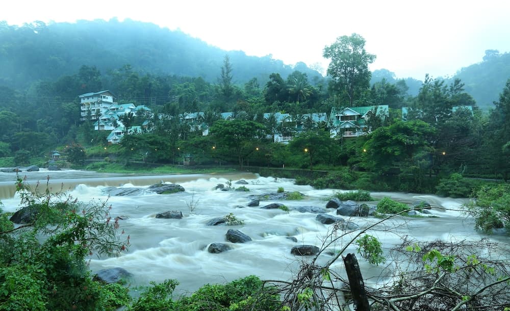 Rivulet