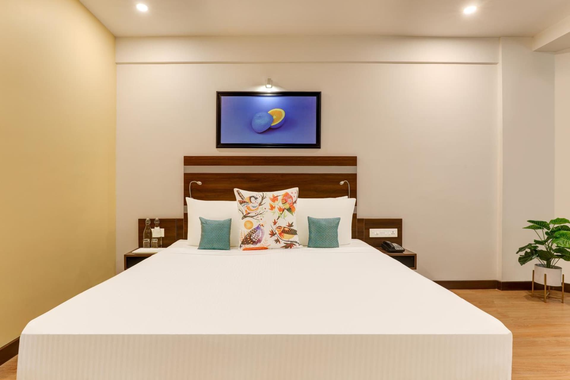 Studio Room